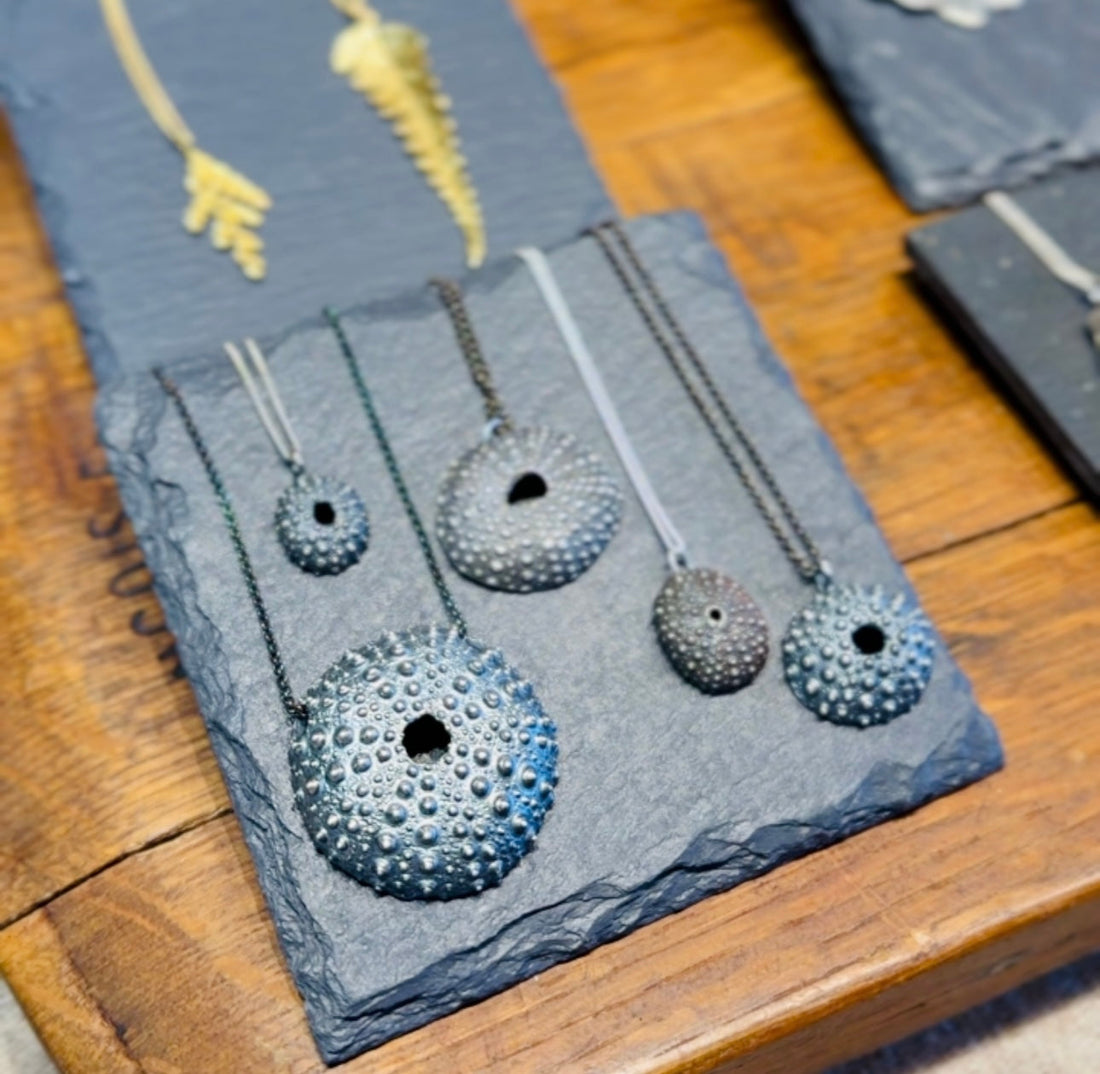 Sea Urchins & The Wonder of the Ocean, Always With You