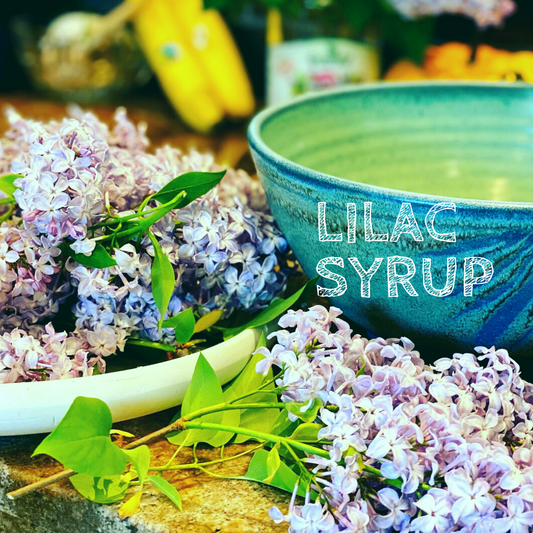 Lilac Syrup Recipe