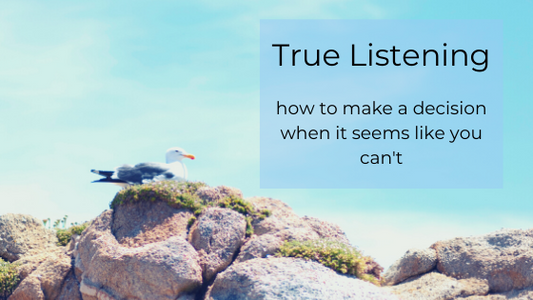 blue sky, seagull on rocks caption: True Listening: how to make a decision when it seems like you can't