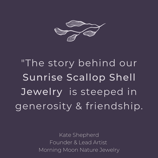 Where can you find a Hawaiian Sunrise Scallop Shell?