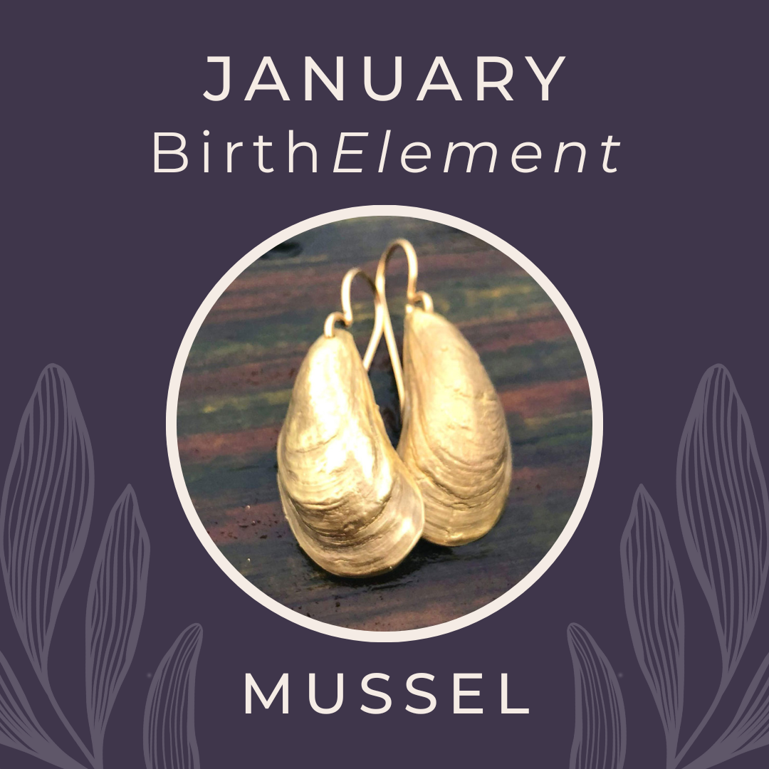BirthElements - January