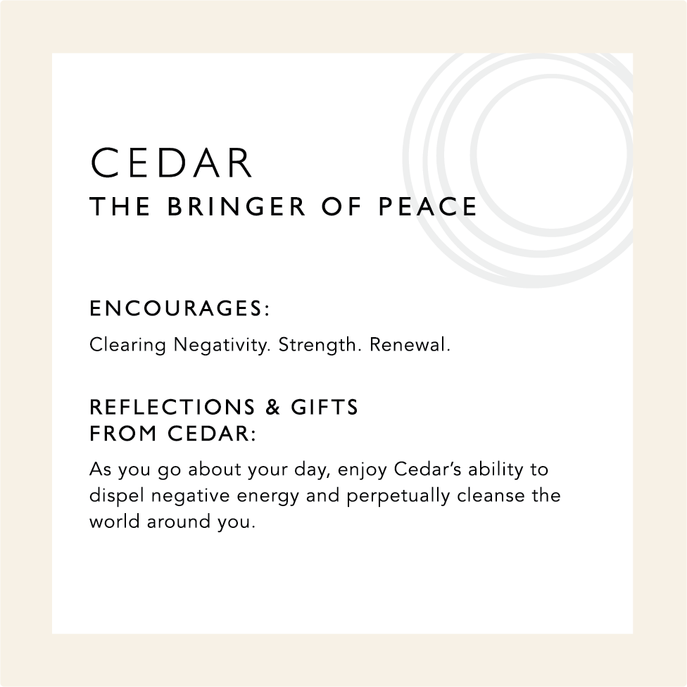 Cedar: The Bringer of Peace. Encourages clearing negativity, strength, renewal