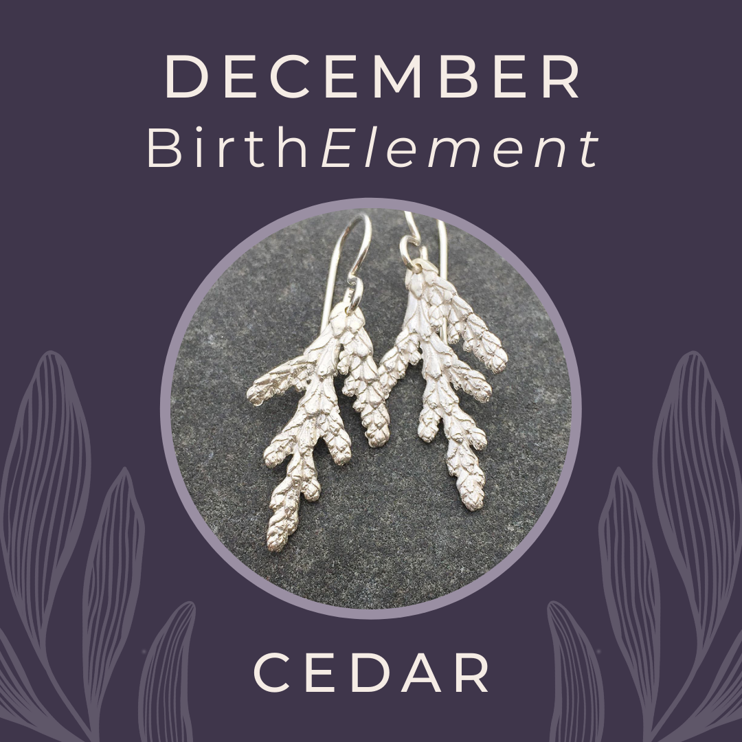 December BirthElement Cedar