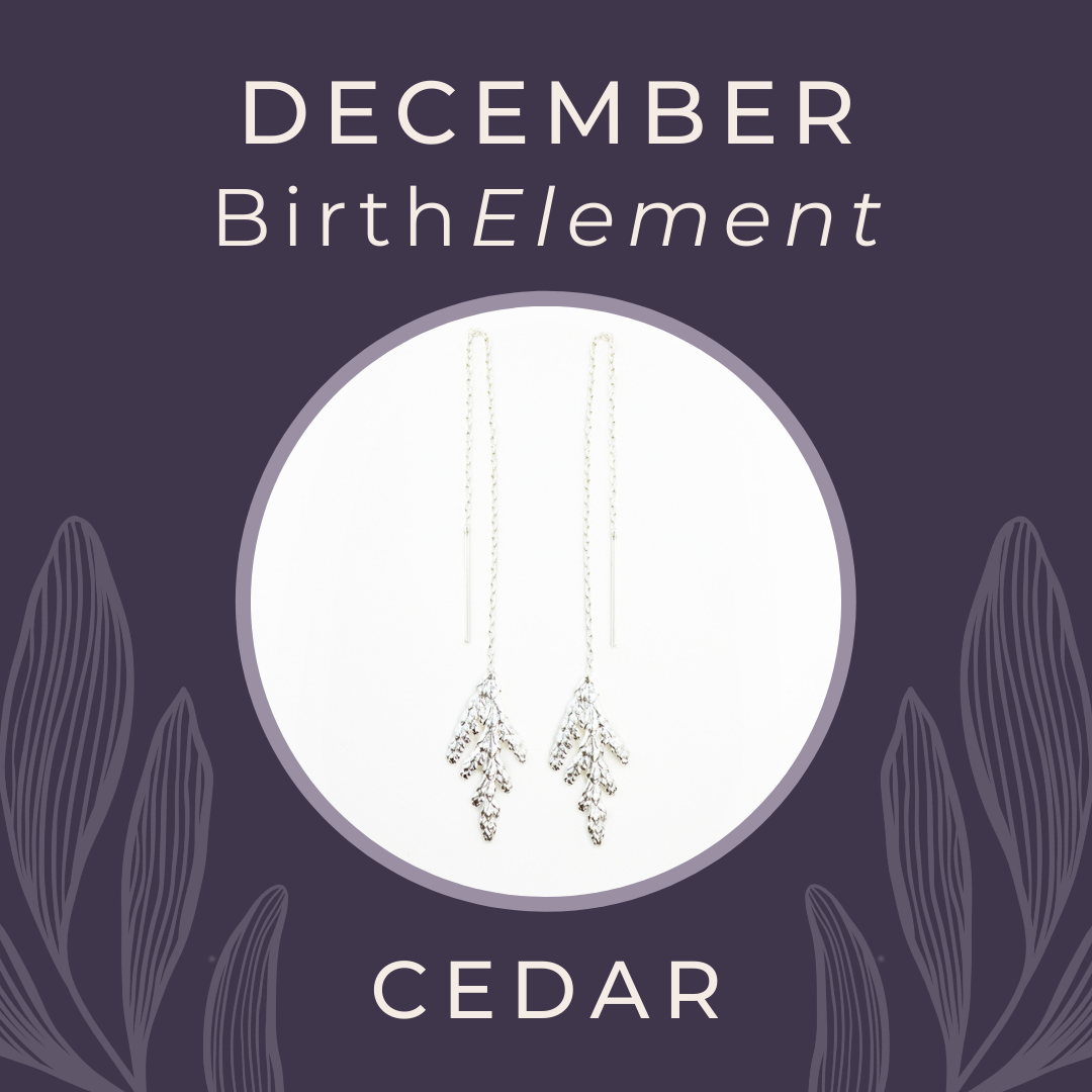 December BirthElement Cedar