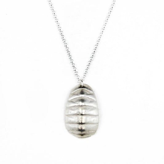 sterling silver chiton shell necklace on white background