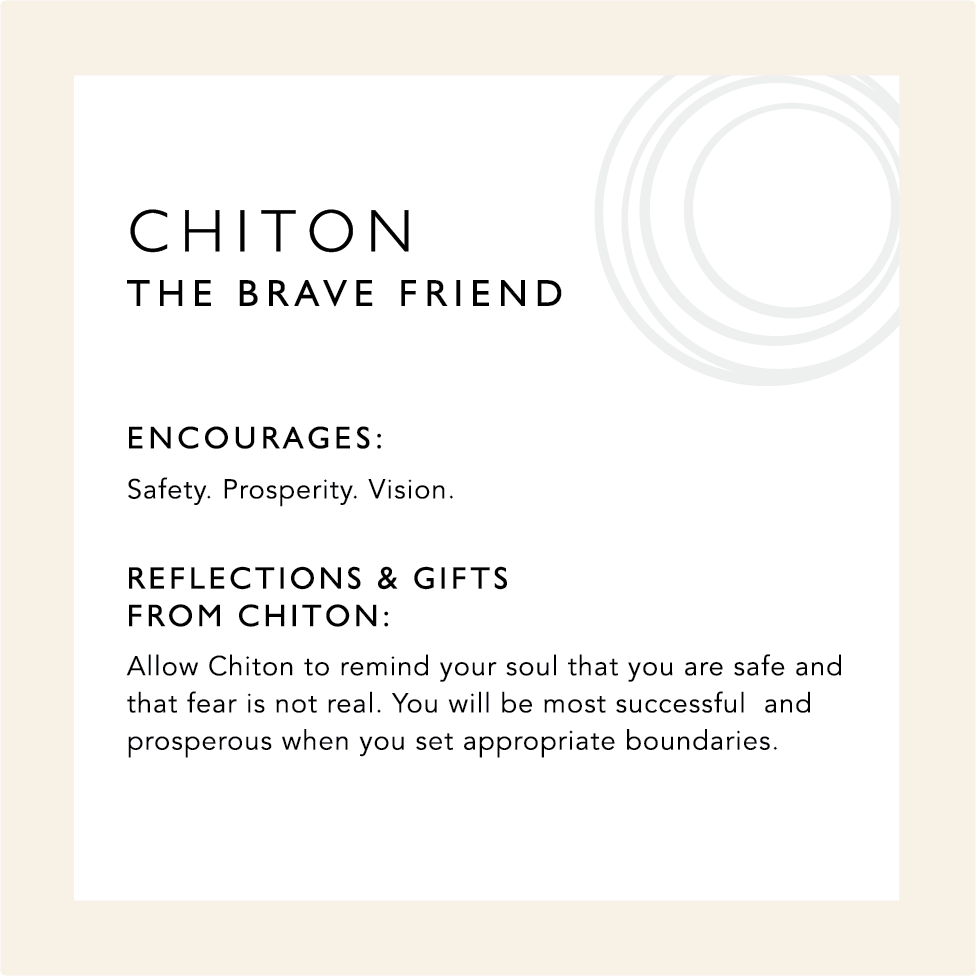 Chiton: The Brave Friend. Encourages safety, prosperity, vision. Image describing the symbolism of chiton.