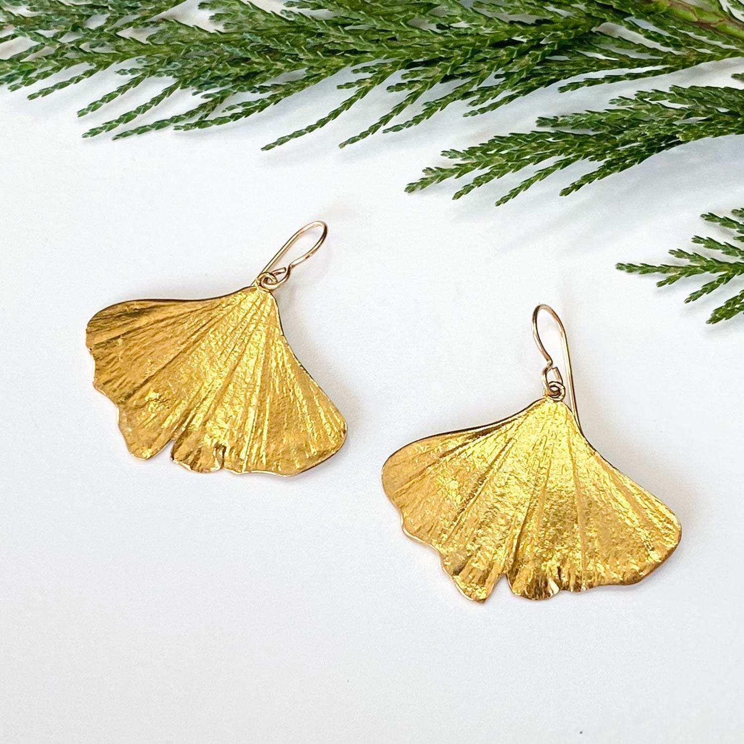 beautiful pair of golden ginkgo earrings on a white background with cedar boughs