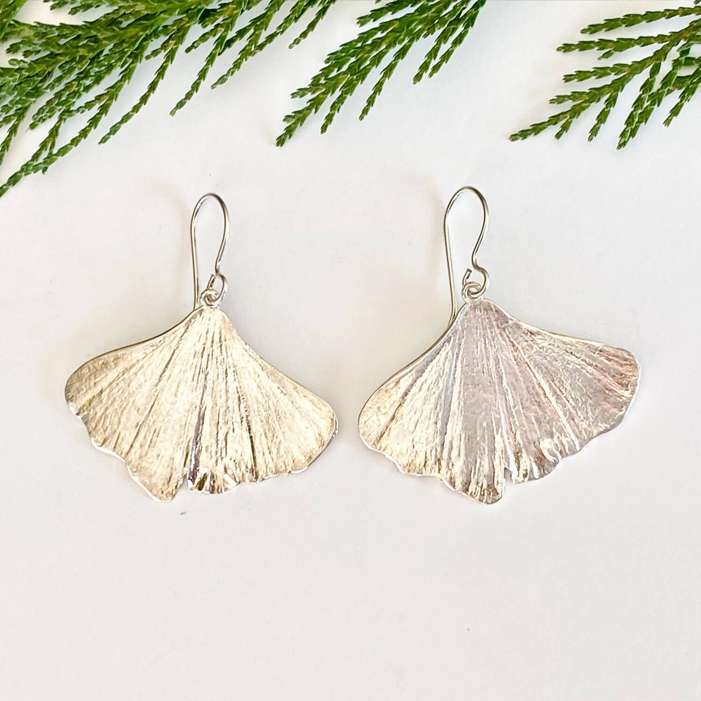 beautiful pair of silver ginkgo earrings on a white background with cedar boughs