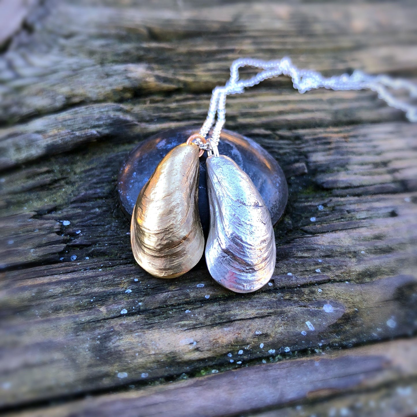 pendant comprised of two mussel shells with incredible detail that have been cast in metal: one in sterling silver the other golden. on white background.