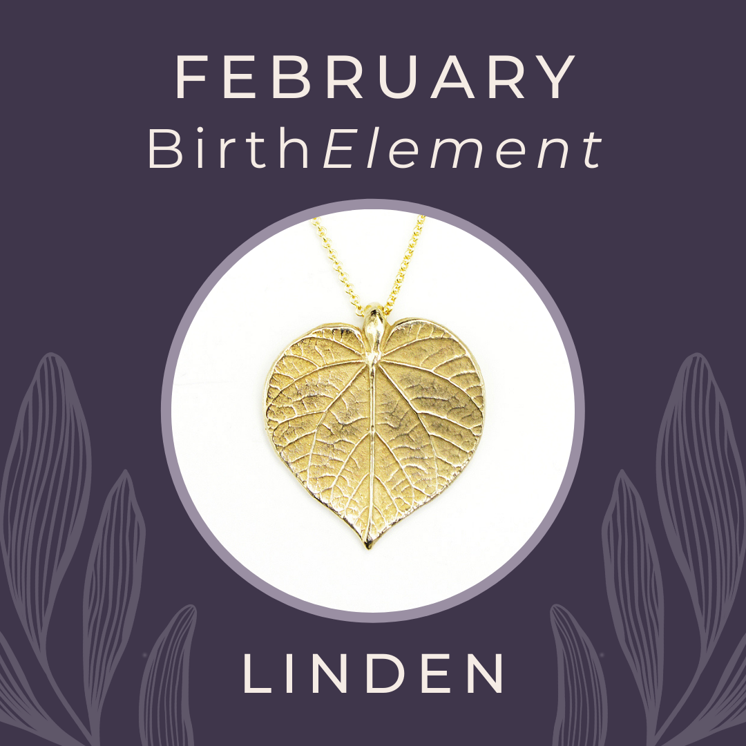 February BirthElement Linden