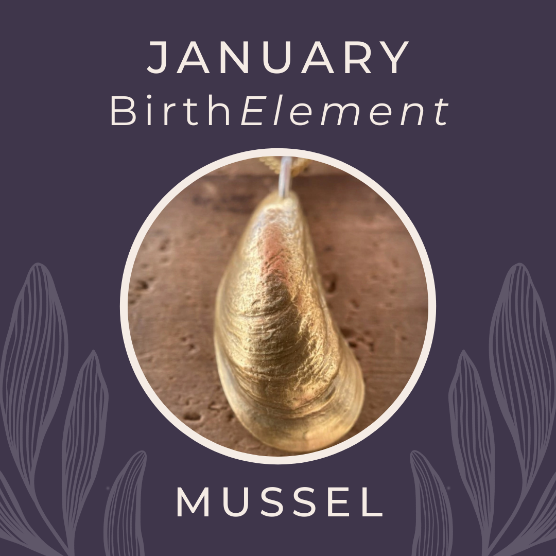 January BirthElement Mussel