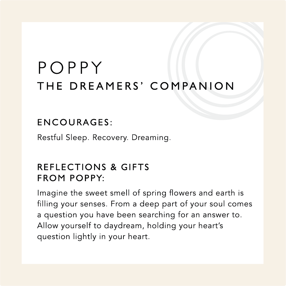 Poppy: The Dreamers' Companion. Encourages: Restful Sleep. Recovery. Dreaming. Reflections & Gifts from Poppy: Imagine the sweet smell of spring flowers and earth is filing your senses. From a deep part of your soul comes a question you have been searching for an answer to. Allow yourself to daydream, holding your heart's question lightly in your heart.