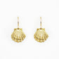 golden bronze scallop shell earrings on a white background