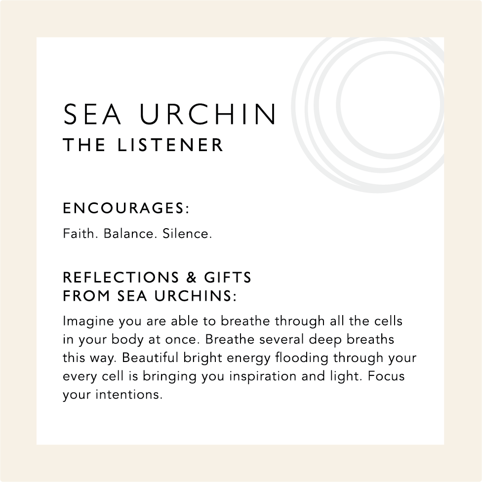 Sea Urchin: The Listener. Encourages: Faith. Balance. Silence. Reflections & Gifts from Sea Urchin: Imagine your are able to breathe through all the cells in your body at once. Breathe several deep breaths this way. Beautiful bright energy flooding through your every cell is bringing you inspiration and light. Focus your intentions.