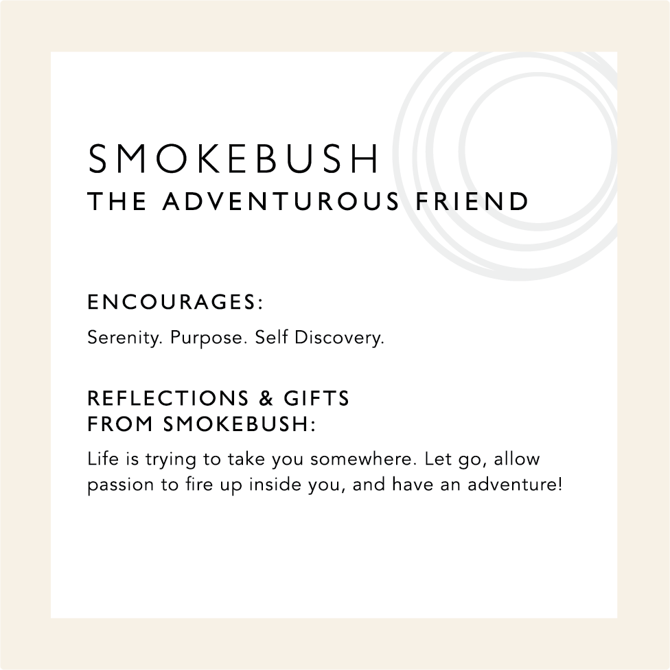 Smokebush: The Adventurous Friend. Encourages: Serenity, Purpose, Self Discovery. Reflections & Gifts from Smokebush: Life is trying to take you somewhere. Let go, allow passion to fire up inside you, and have an adventure!
