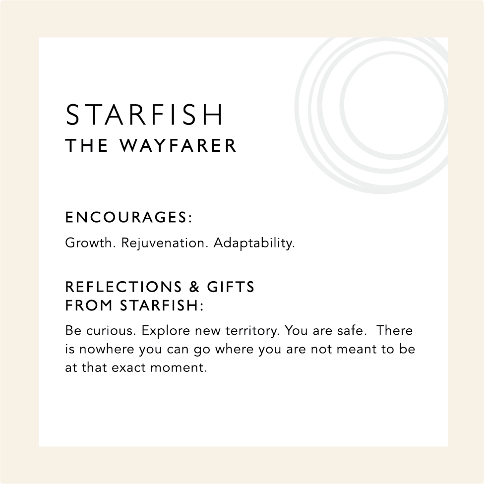Starfish: The Wayfarer. Encourages: Growth, Rejuvenation, Adaptability. Reflections & Gifts from Starfish: Be curious. Explore new territory. You are safe. There is nowhere you can go where you are not meant to be at that exact moment.