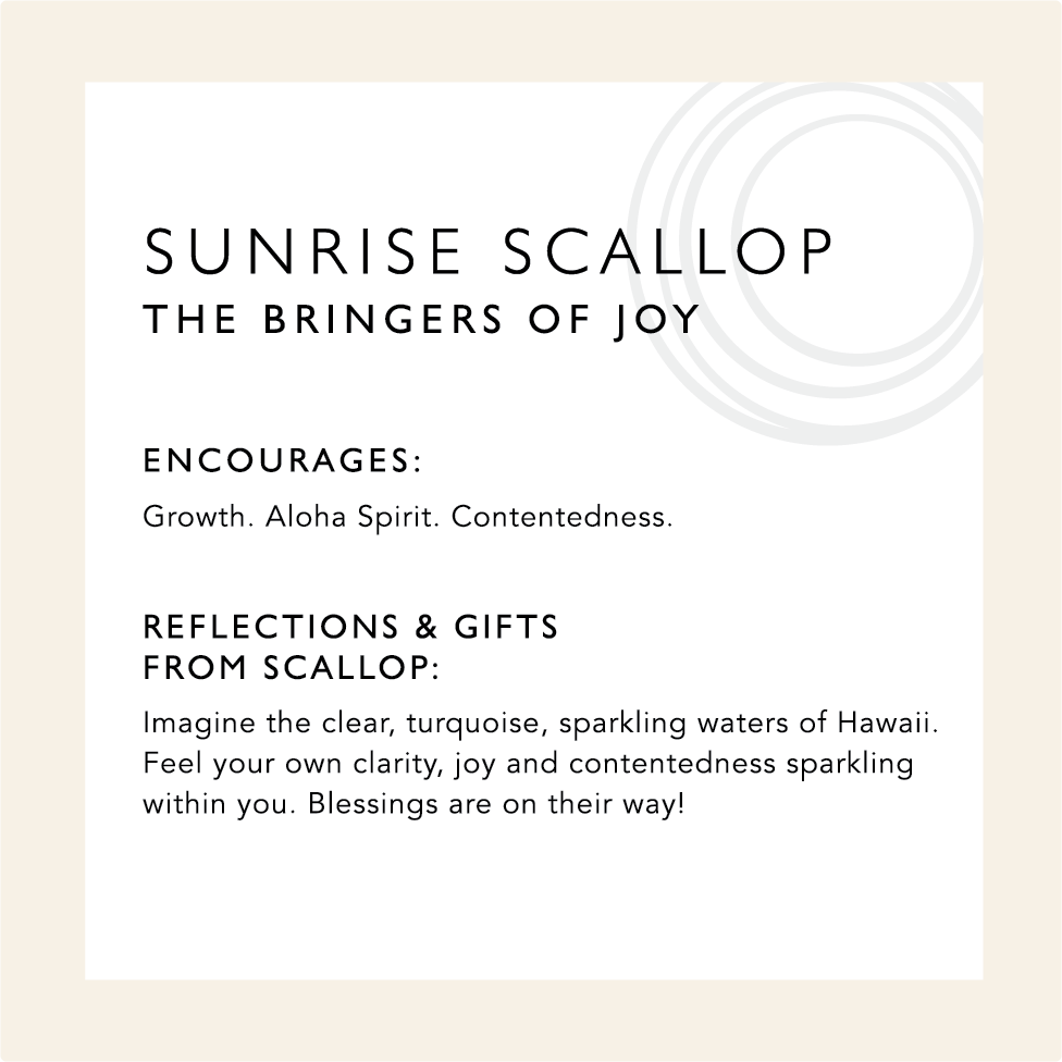 Sunrise Scallop: The Bringers of Joy. Encourages: Growth. Aloha Spirit. Contentedness. Reflections & Gifts from Scallop: Imagine the clear turquoise, sparkling waters of Hawaii. Feel your own clarity, joy and contentedness sparkling within you. Blessings are on their way!