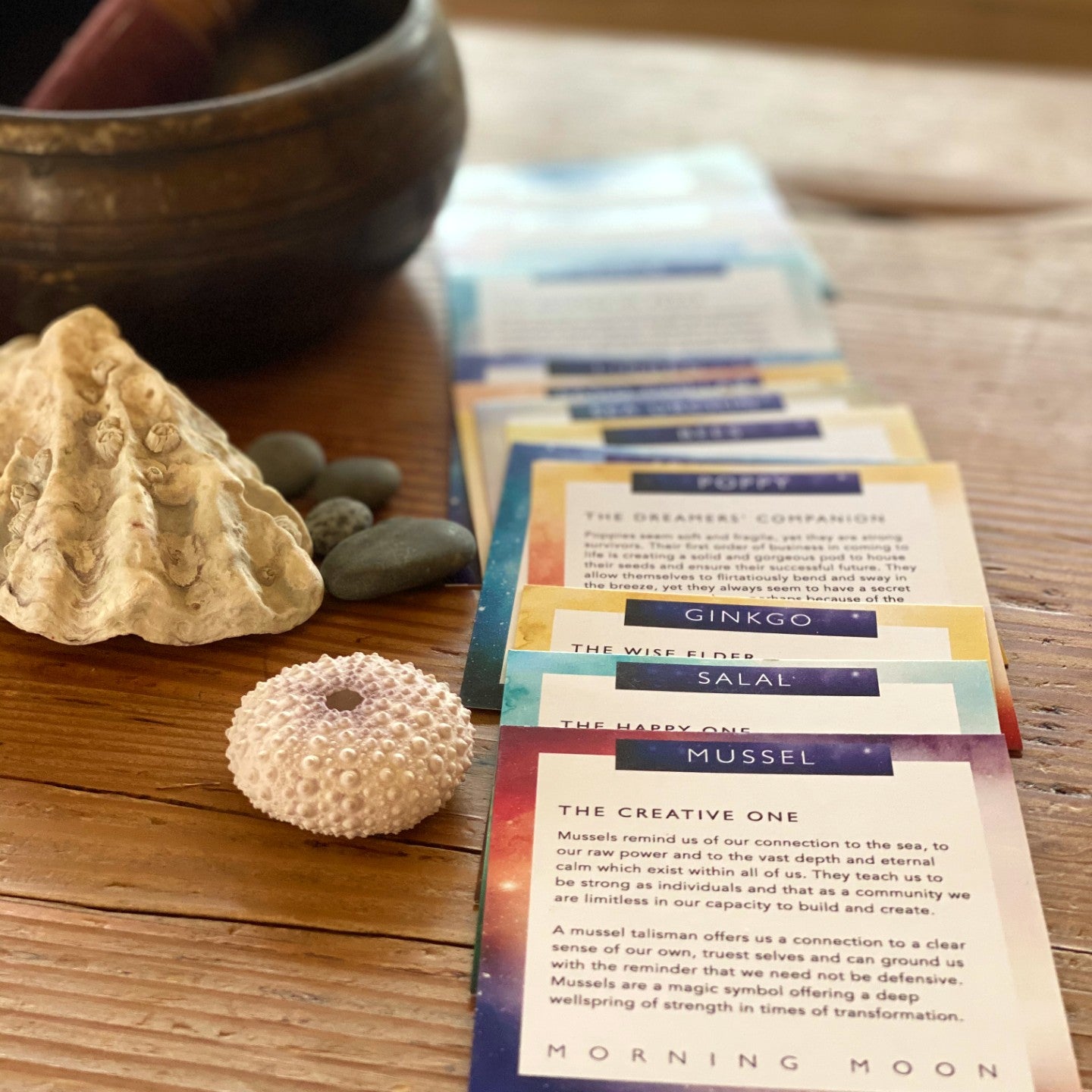 Warm feeling photo of Morning Moon's Elemental Inspiration Deck. Richly colourful cards spread out invitingly beside seashells and singing bowl