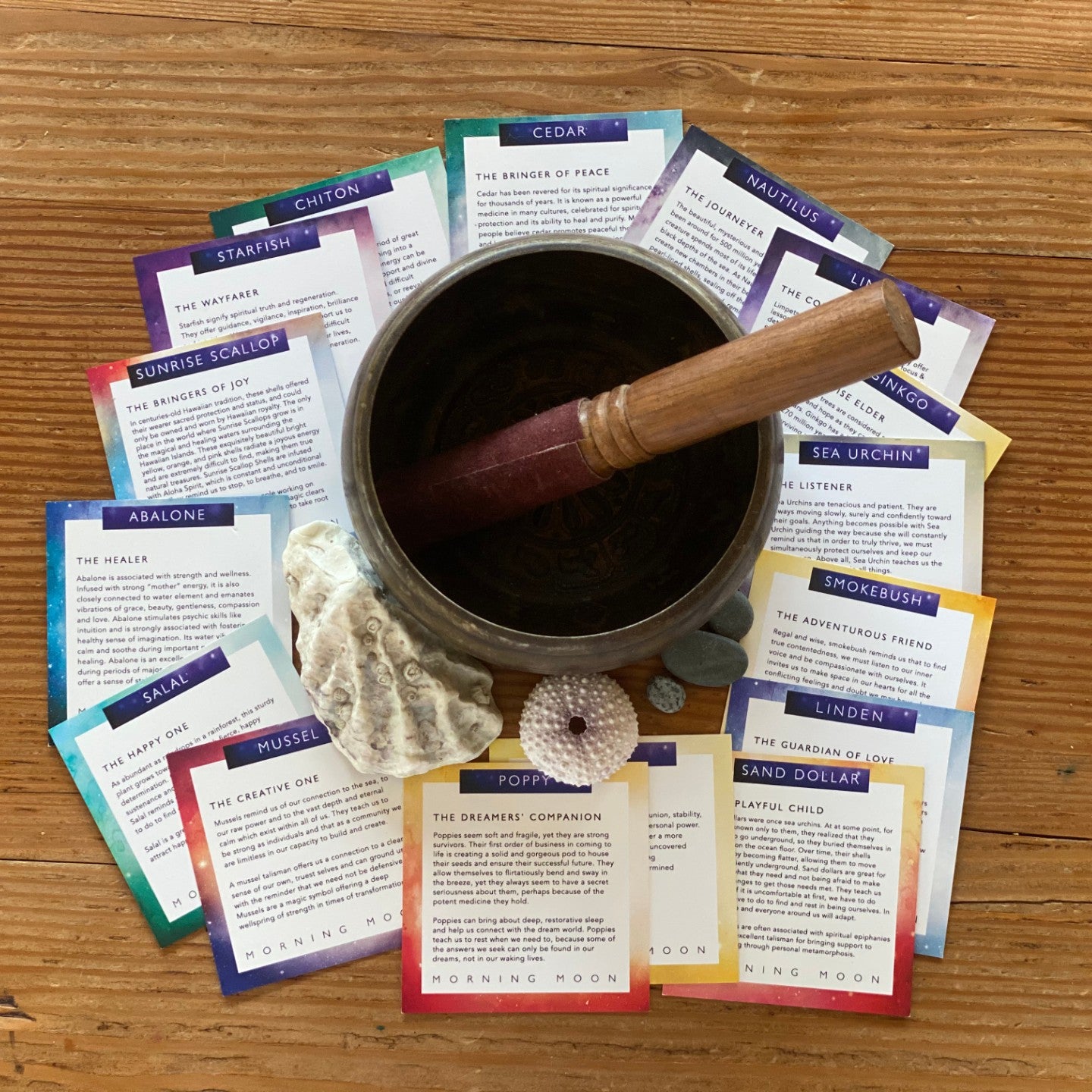 Warm feeling photo of Morning Moon's Elemental Inspiration Deck. Richly colourful cards spread out in a circle around oyster and sea urchin seashells and singing bowl