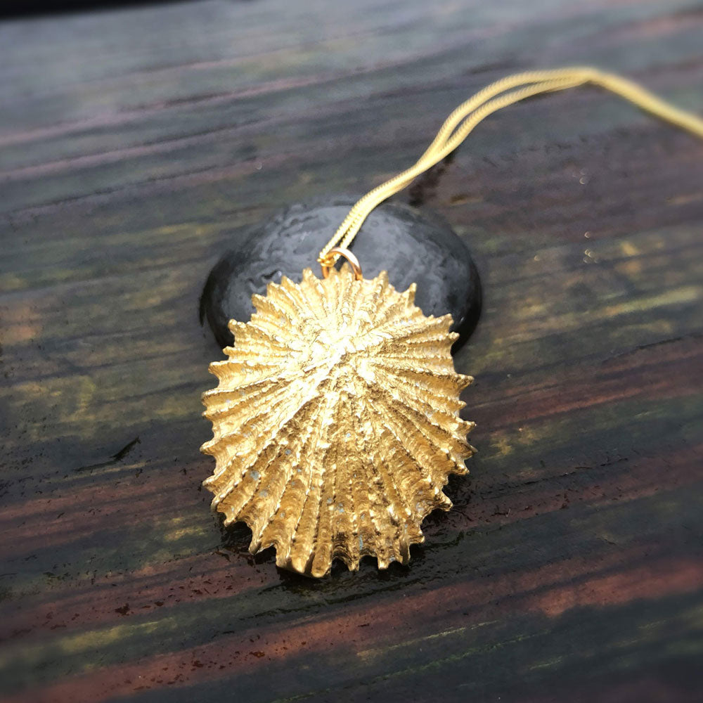 beautifully detailed golden limpet necklace on a wooden table top outside