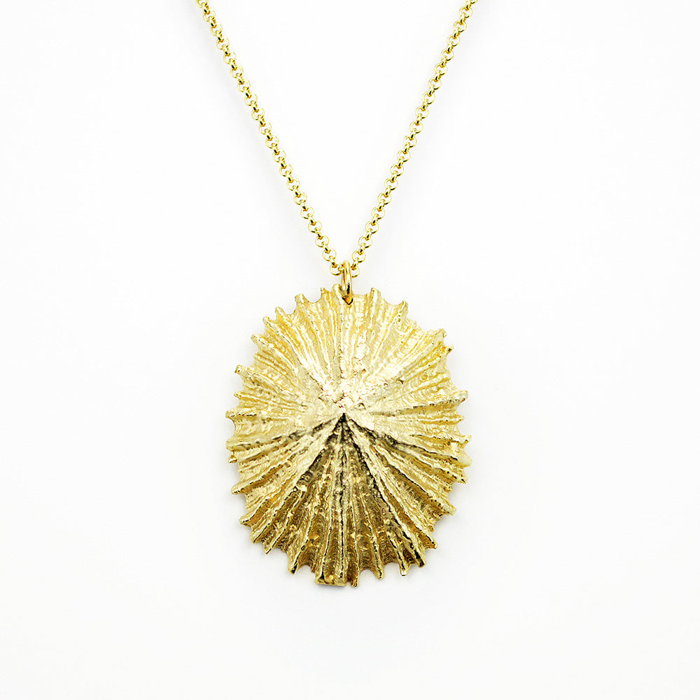 beautifully detailed limpet pendant necklace in golden bronze on white background