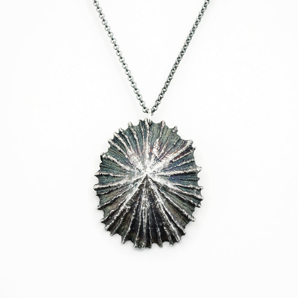 beautifully detailed limpet pendant necklace in oxidized silver on white background