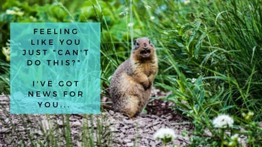 an overwhelmed looking groundhog looking at camera and text box that reads Feeling Like you "just can't do this?" I've got news for you...