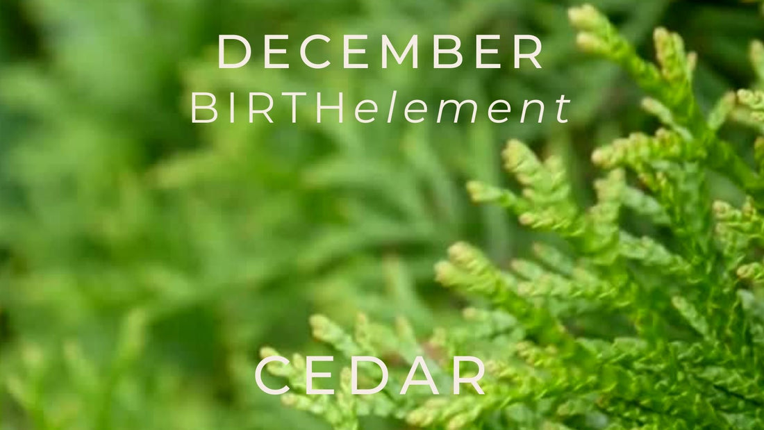 Cedar handmade artisan nature jewelry december birthday