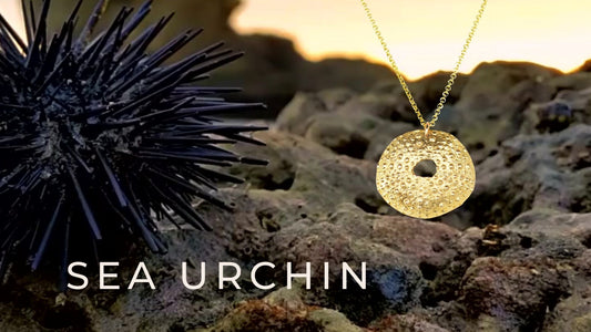 Crafting Sea Urchin Magic: From Beach Treasures to Timeless Heirlooms