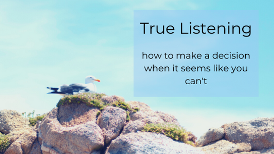 blue sky, seagull on rocks caption: True Listening: how to make a  decision when it seems like you can't