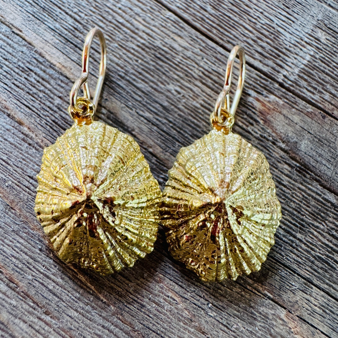 Isla Limpet Shell Earrings