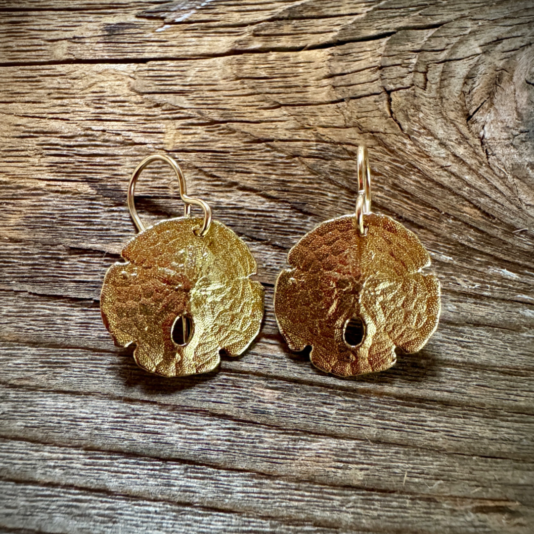 Secret Cove Sand Dollar Shell Earrings