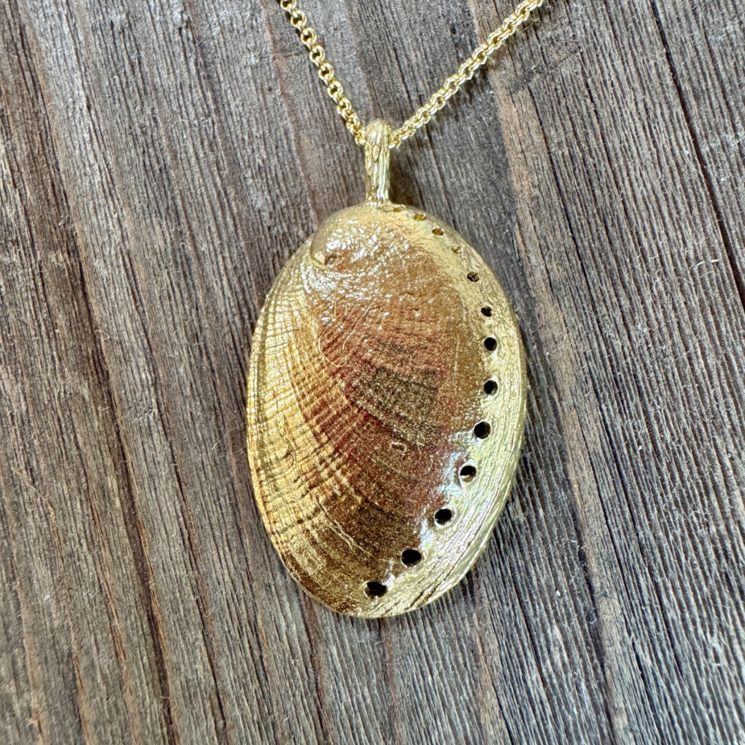 Sparkling Waters Abalone Shell Necklace