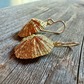 Isla Limpet Shell Earrings