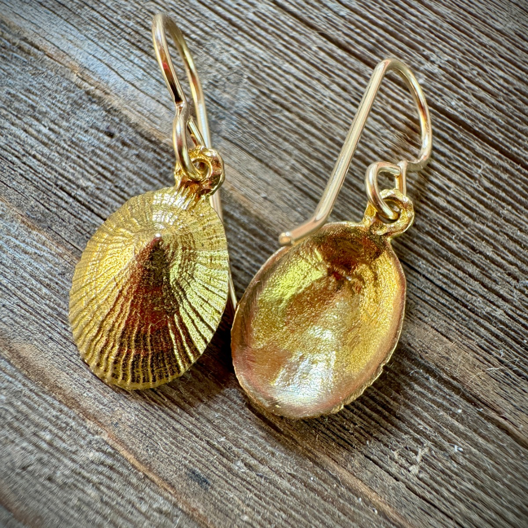 Isla Limpet Shell Earrings