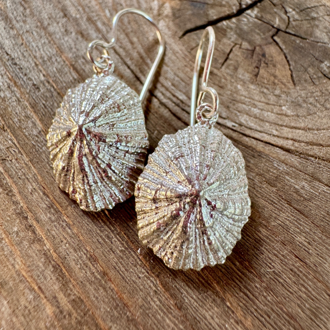 Isla Limpet Shell Earrings