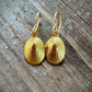 Isla Limpet Shell Earrings