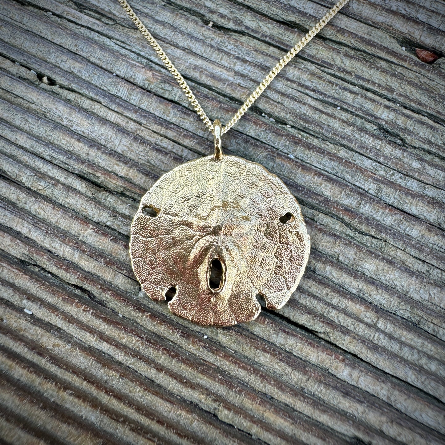 Secret Cove Sand Dollar Shell Necklace