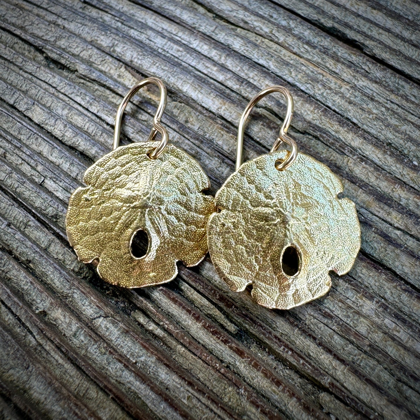 Secret Cove Sand Dollar Shell Earrings