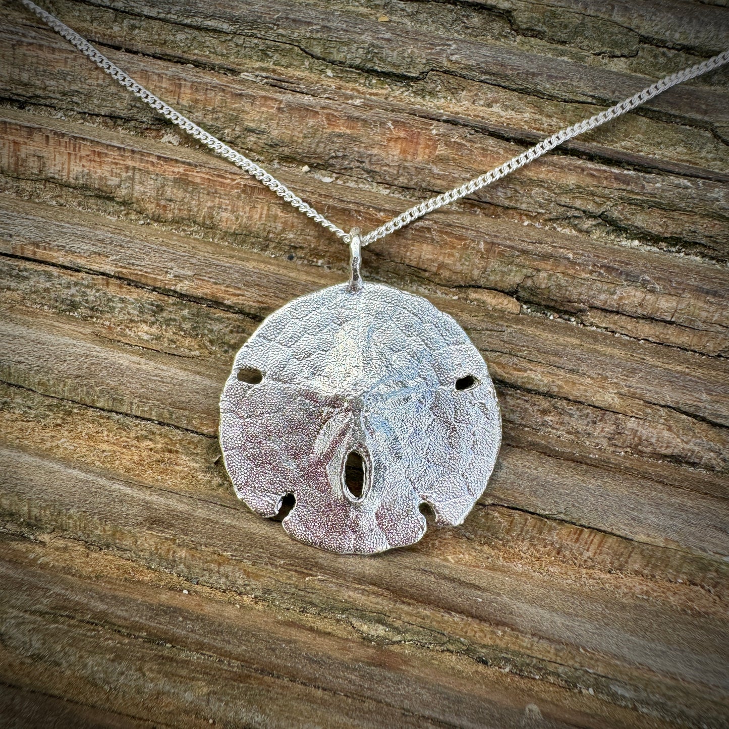 Secret Cove Sand Dollar Shell Necklace