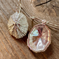 Isla Limpet Shell Earrings