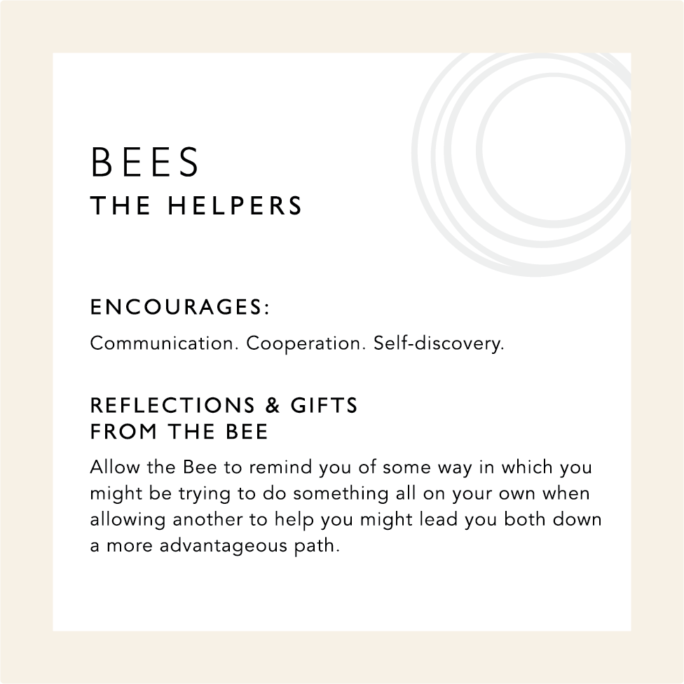 Bees: The Helpers. Encourages communication, cooperation and self-discovery