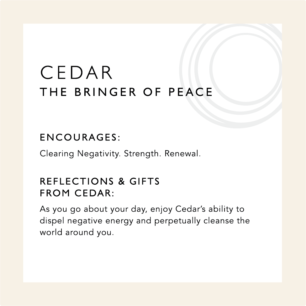 Cedar: The Bringer of Peace. Encourages clearing negativity, strength, renewal 
