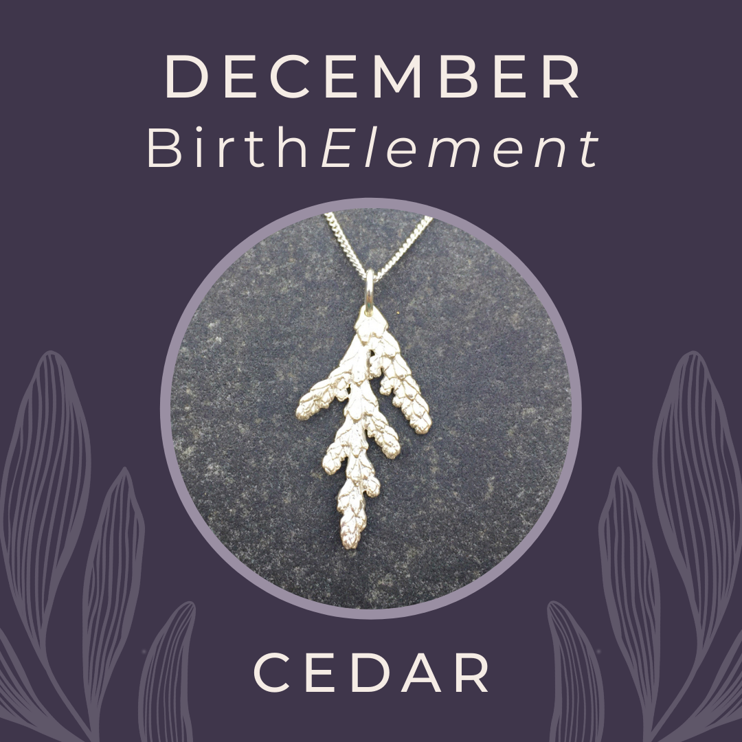 December BirthElement Cedar