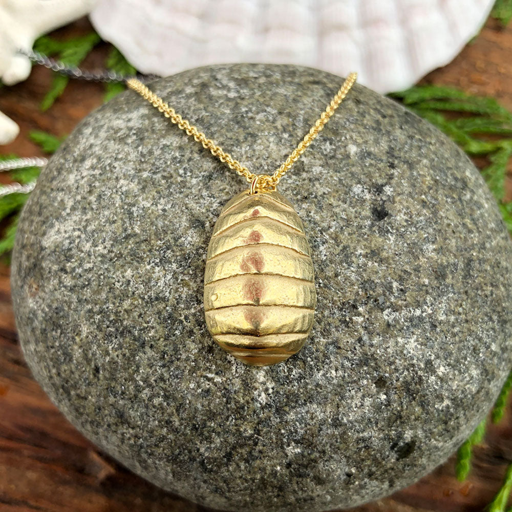golden chiton necklace sitting atop a round stone