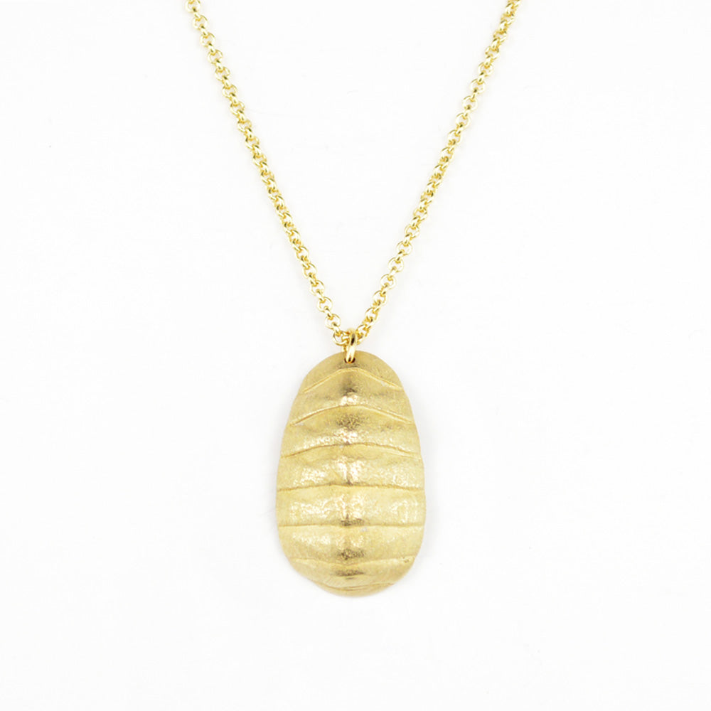 golden bronze chiton shell necklace on white background