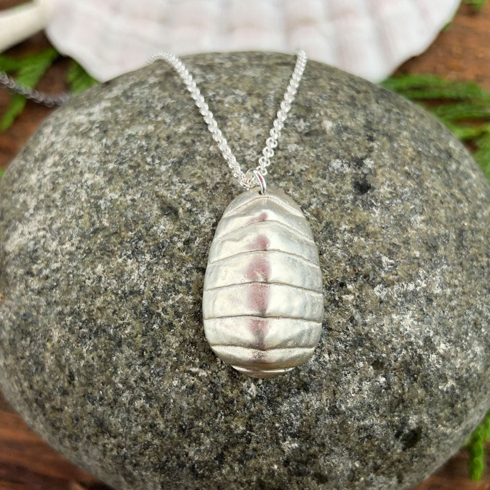sterling silver chiton necklace sitting atop a round stone