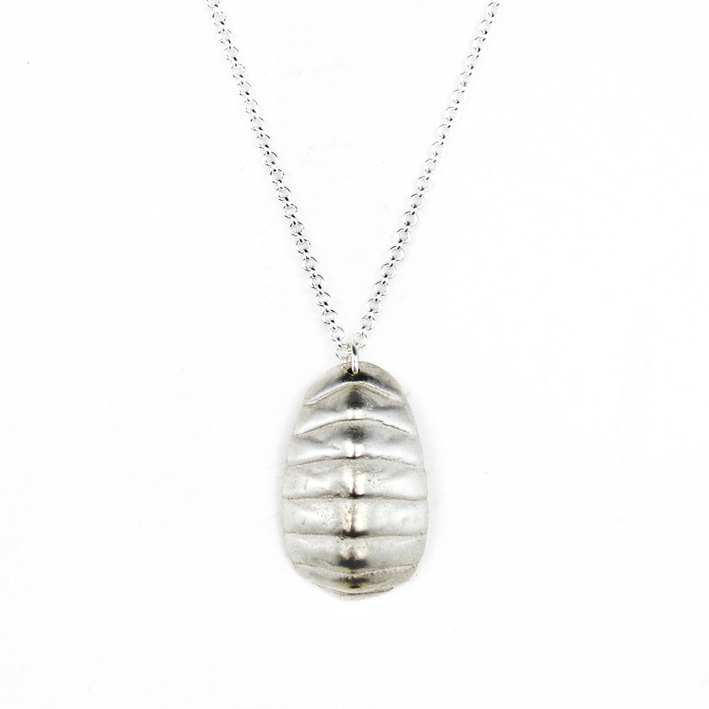 sterling silver chiton shell necklace on white background