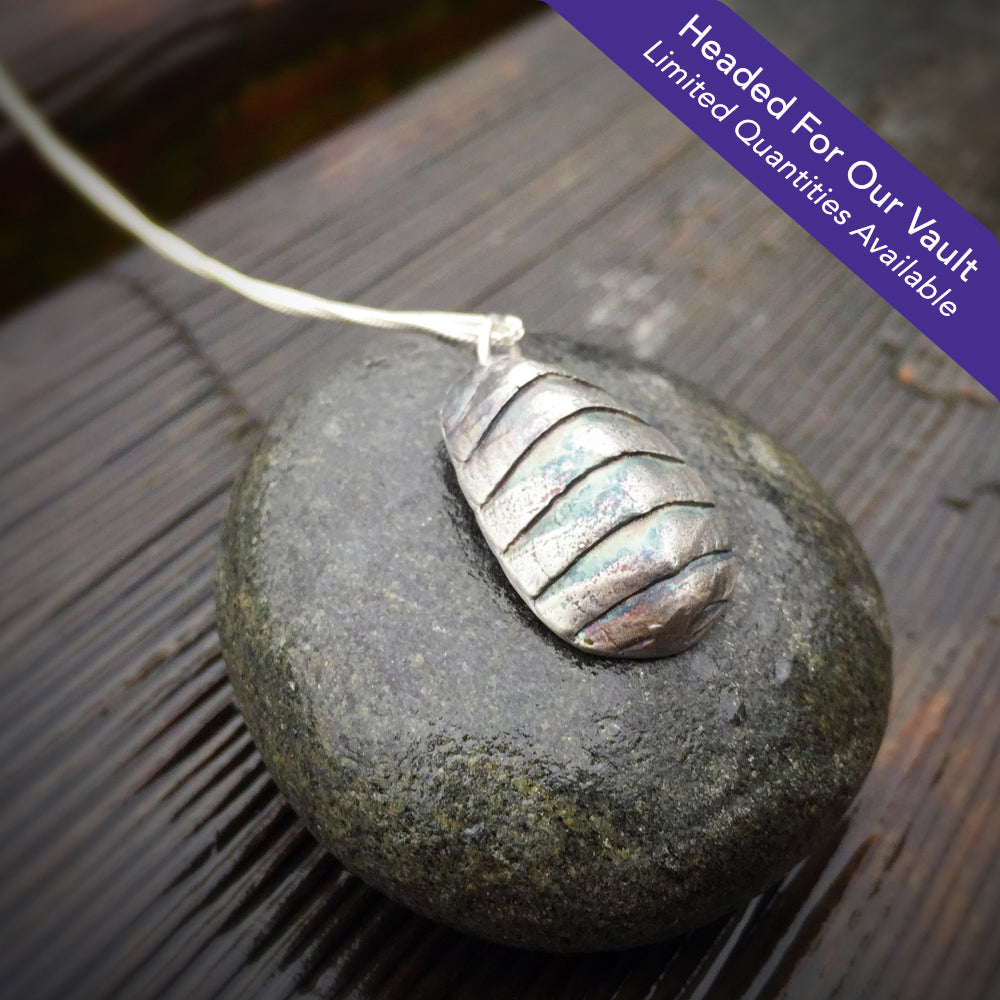 "headed for our vault. Limited quantities available" Oxidized silver chiton shell pendant on top of small round rock
