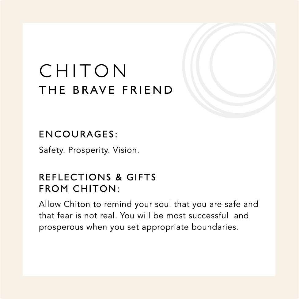Chiton: The Brave Friend. Encourages safety, prosperity, vision. Image describing the symbolism of chiton. 